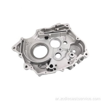 OEM Precision CASS Zine Die Casting Parts